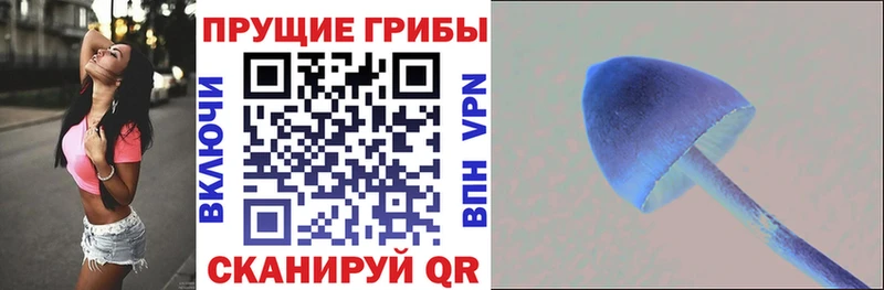 Галлюциногенные грибы MAGIC MUSHROOMS  Моздок 