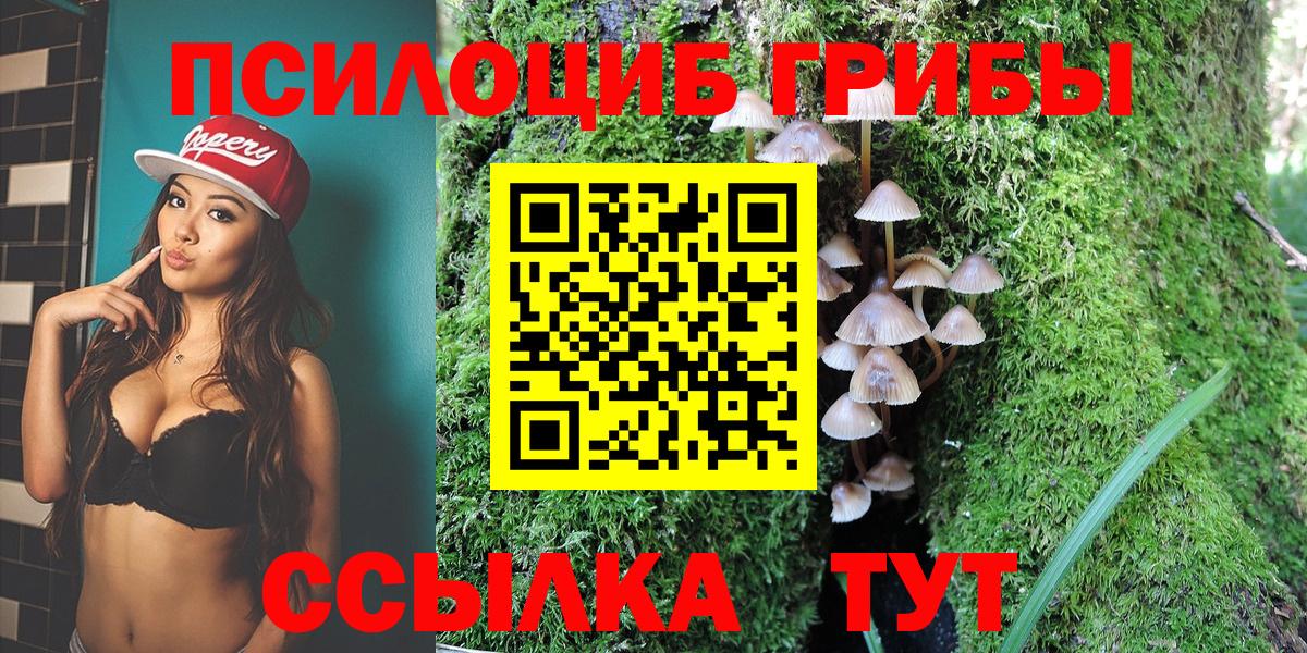 наркошоп  Псилоцибиновые грибы MAGIC MUSHROOMS  Галлюциногенные грибы GOLDEN TEACHER  Вход с VPN  Моздок 