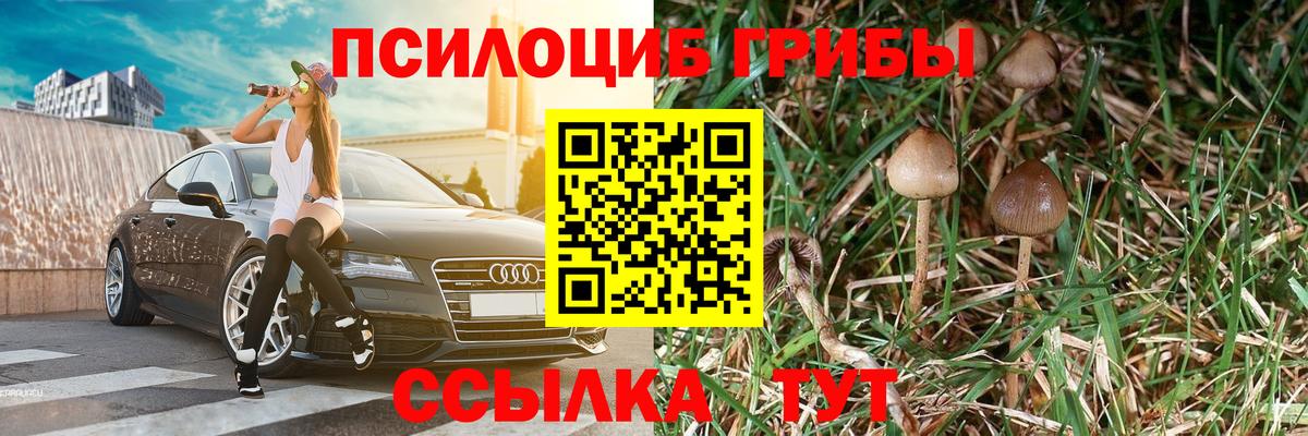 Псилоцибиновые грибы мухоморы Моздок