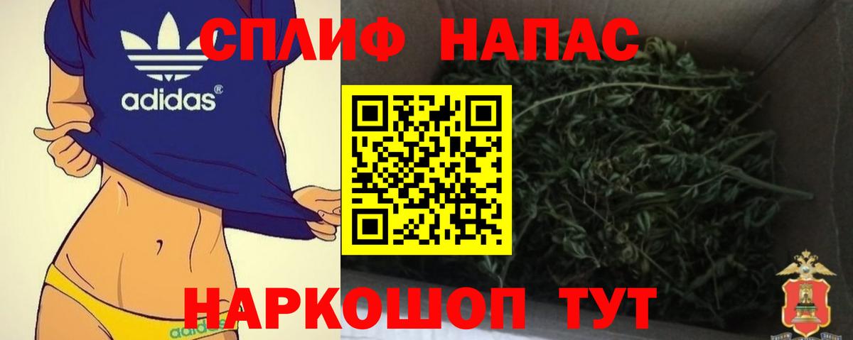Канабис OG Kush Моздок